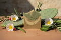 Nopal Cactus Brightening Soap